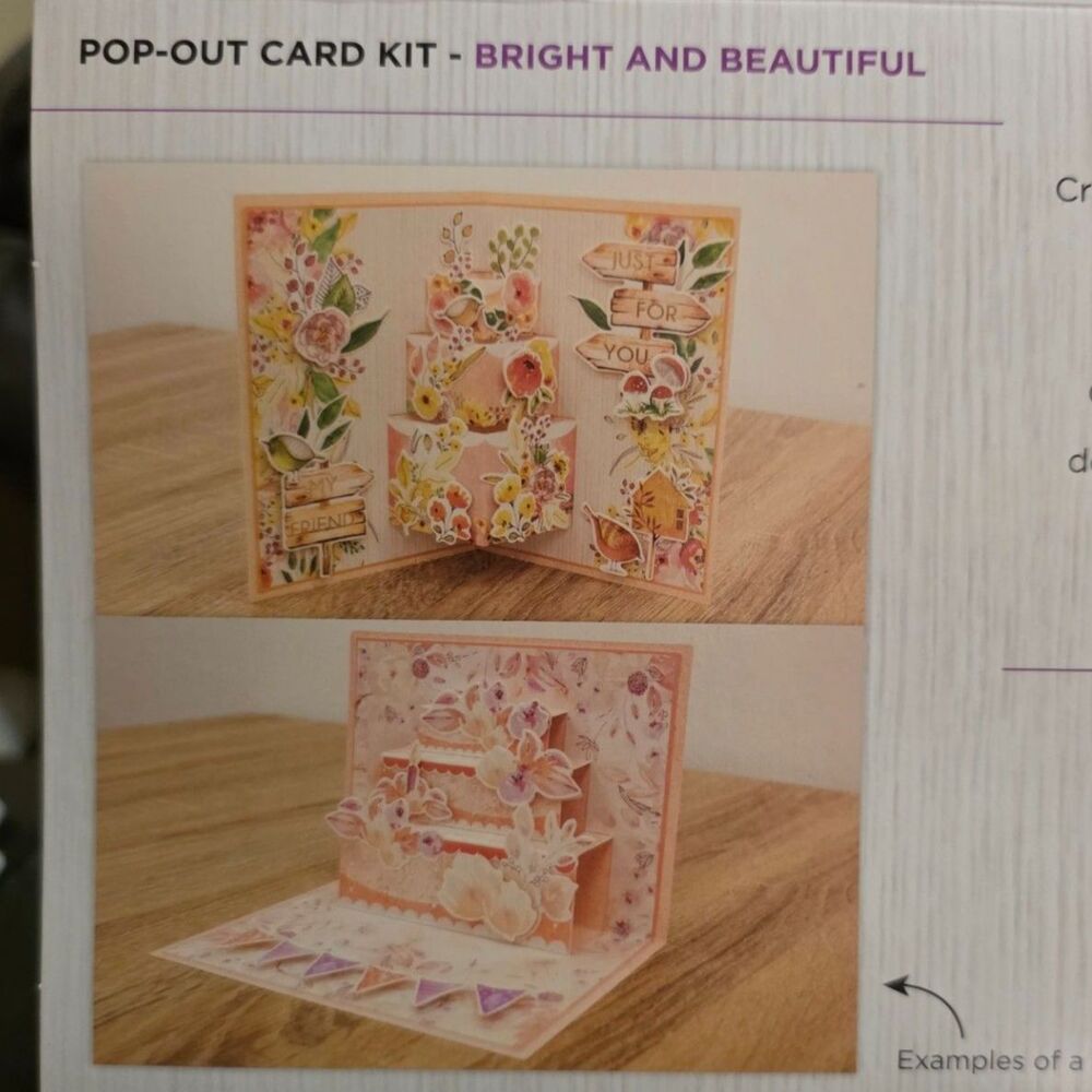 Crafter's Companion 668 Piece Cake Pop-out Card Kit